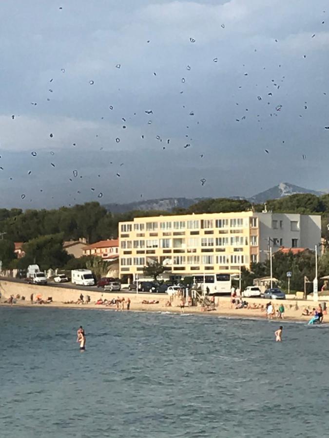 T2 Les Pieds Dans L Eau Vue Mer Apartment Six-Fours-les-Plages Luaran gambar